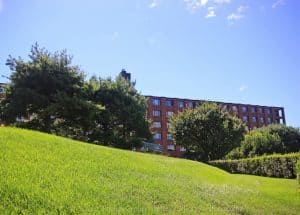 Abundance of green on the grounds!