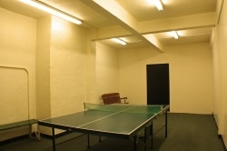 Table Tennis or Ping Pong Room